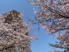 -南京城墙景区