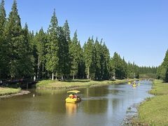 -黄海国家森林公园