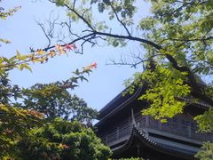 -龙华寺
