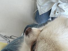 -怪兽屋·羊驼·猫咖·狗咖(俊华广场店)