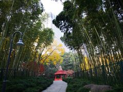 -上海不夜城广场(上海不夜城金融大厦店)