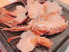 -活伊势龙虾料理 中纳言(千日前味乐馆店)