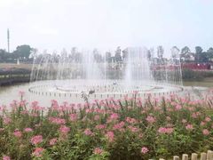 -花博汇(知音花月夜)