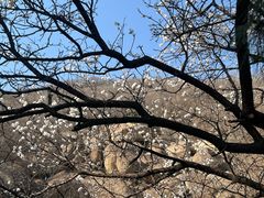 -天津盘山风景名胜区