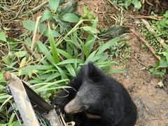 -普洱太阳河森林公园