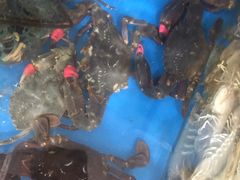 -宾朋海鲜特色美食餐厅·纯手工鲅鱼水饺(兴海路店)