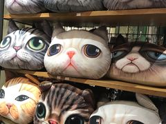 -猫咪博物馆(顶澳仔猫街店)