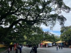 -桂林独秀峰王城景区
