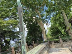 -紫金山天文台