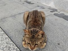 -青澳湾北回归线广场