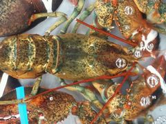 android_upload_pic-湛江渔港·大排档(乐园路总店)