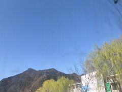 -王顺山国家森林公园