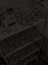 -寇氏拔罐减肥