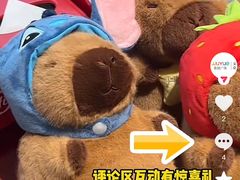 -海底捞火锅(吾悦广场店)