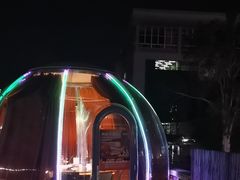 -羊门客在·烤盐池滩羊·川菜