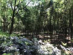 -同里国家湿地公园