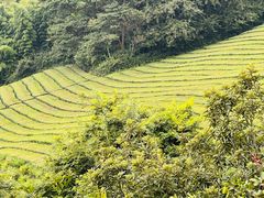 -敬亭山风景名胜区