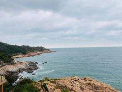 -广东惠东海龟国家级自然保护区
