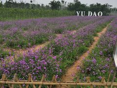 -渔岛海洋度假区