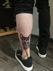 点击看大图 -刺客纹画纹身·洗纹身·穿孔饰品