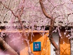 -三里河公园