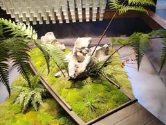 -蘇锦宴·淮扬菜烤鸭·小院(三元桥霄云路店)
