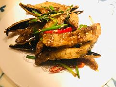 口水茄子-勒马听风(洛邑古城店)