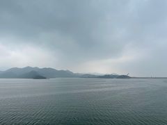 -望湖烤鱼