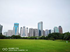 -万绿园