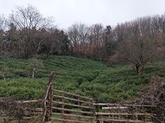 -南山风景名胜区
