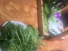 -塔兰齐新疆孜然火锅(鲤鱼山路店)