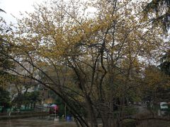 -莲湖公园