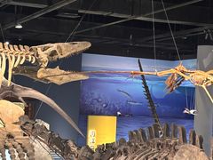 -国家自然博物馆