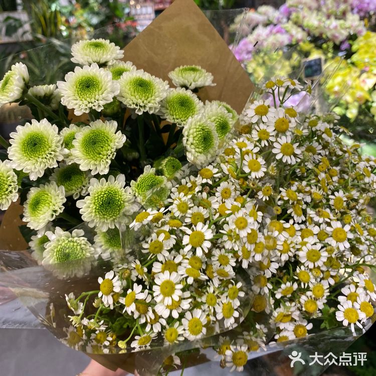 都是花乡