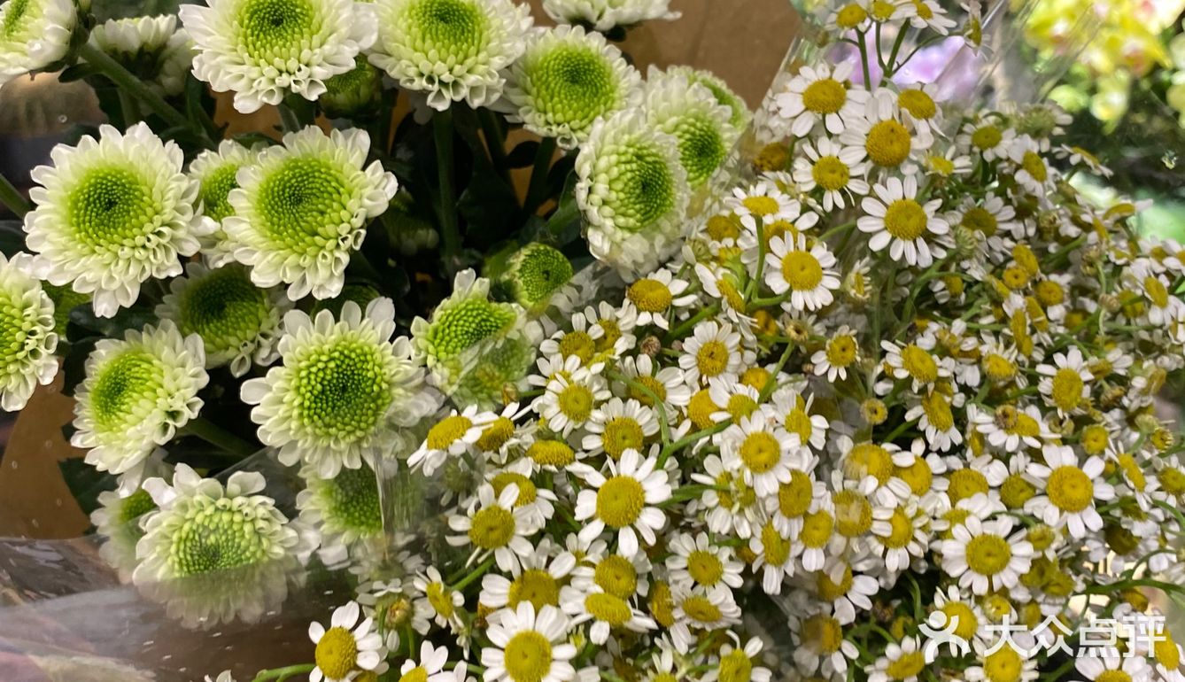 都是花乡