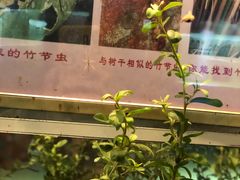 -上海昆虫博物馆