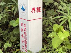 -玉渡山自然风景区