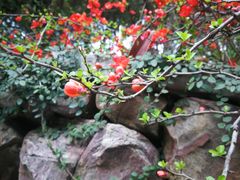 -昆山城市生态森林公园