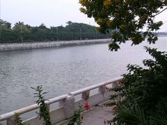 -长洲岛