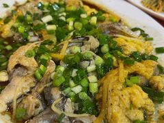 特色蒸鱼子-先鲜鲫鱼粥