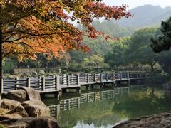 -白马涧龙池景区