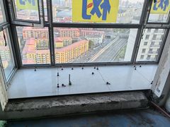 -大树装饰·十年本土家装