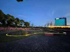 -春花秋色城市公园