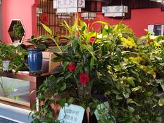 -洞庭家宴·头牌甲鱼(广渠门店)
