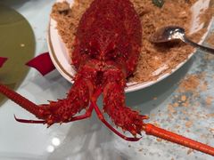 -金轩中餐厅 Jin Xuan(浦东丽思卡尔顿酒店)