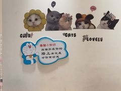 -藏猫猫咖啡主题馆(中央大道店)