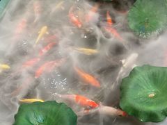 -火福·天湖阁大闸蟹博物馆主题餐厅(浅水湾店)