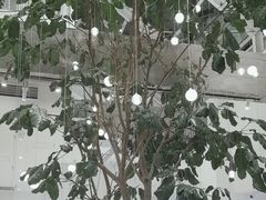 -大树餐厅(红旗街万达店)