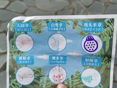 -同里国家湿地公园