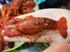 -赤甲皇(仙霞路店)